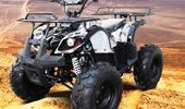 Electric ATVs