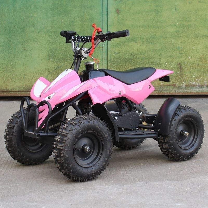 conjunción Numérico hoy 50cc Kids ATV Mini X-Sports High Power Two-Stroke Engine, Hand Strap Kill |  redfoxpowersports