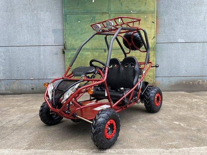 200cc GVA-21 Go Kart, Auto with reverse, High Power Engine, Rear  Independent Suspension, Remote Control Shutoff, Spare Wheel