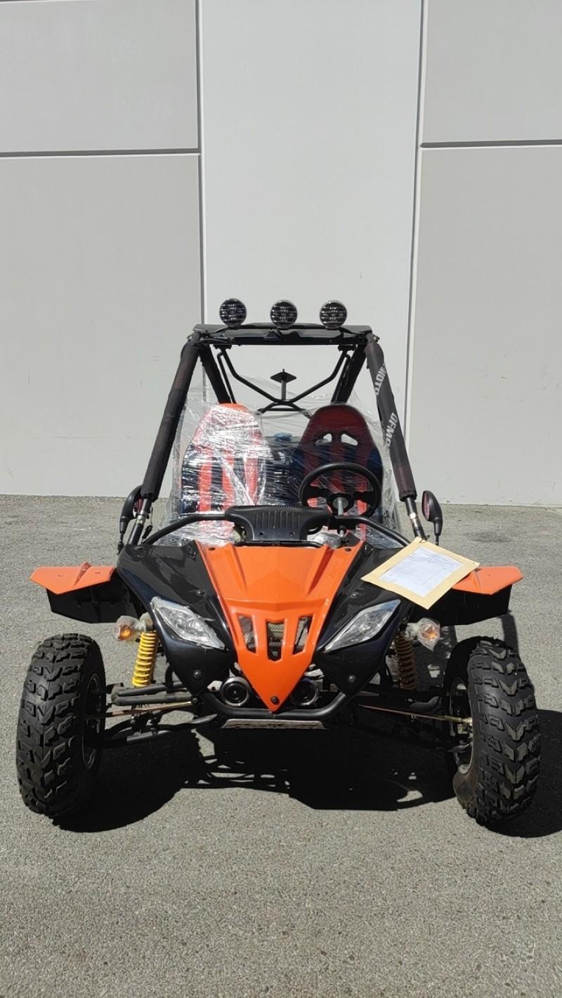 200cc DF GKF Fully Loaded adult Gas Go-kart with Auto Tranny/Reverse (Brand New, Ready to Ride Package)