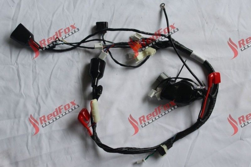 Harness