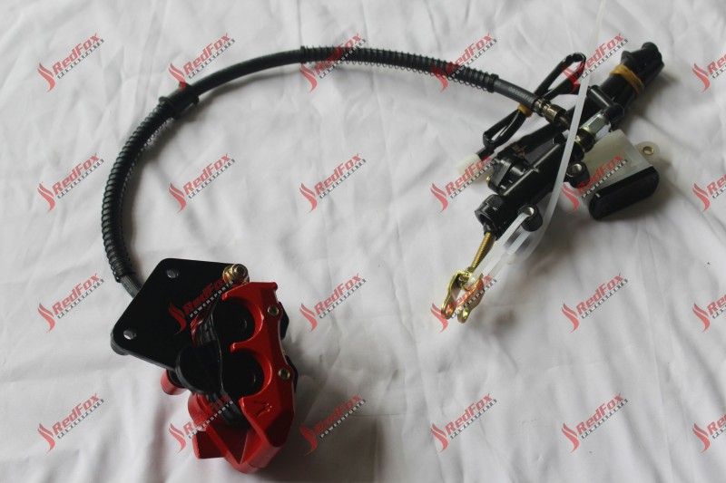Rear Disc Brake ASSY