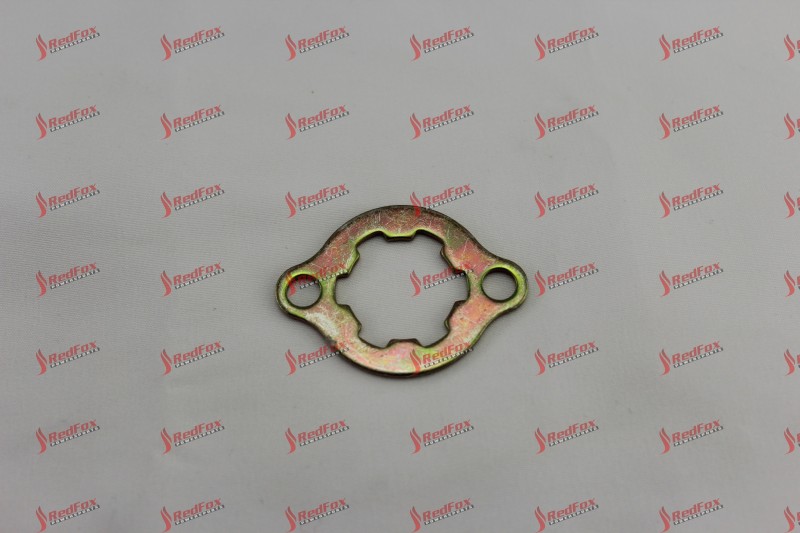 F150 Locking Plate