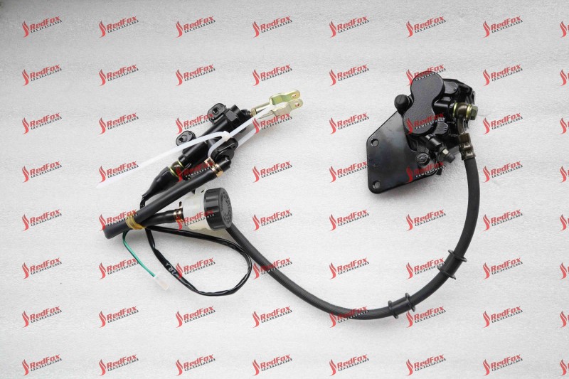 Rear Disc Brake ASSY