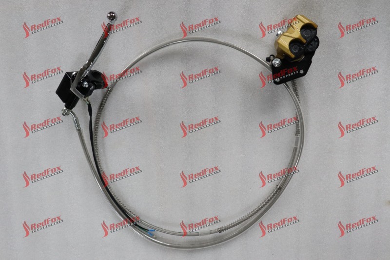 Rear disc brake assy 