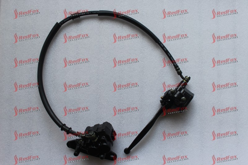 Front Disc Brake ASSY