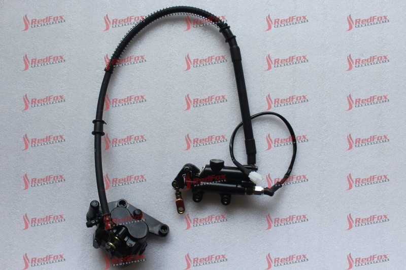 Rear Disc Brake ASSY