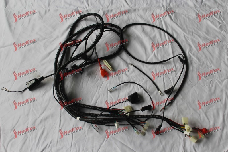 Main Cable