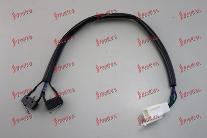 Micro Switch