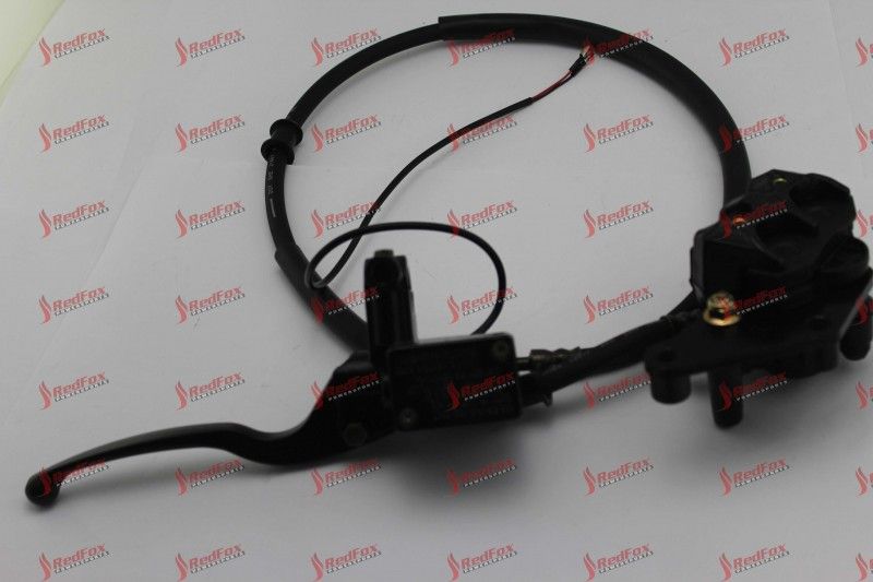 Front Disc Brake ASSY