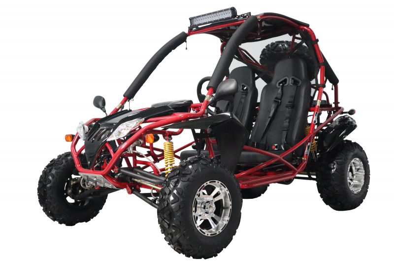 200cc adult Gas Go-kart Deluxe DF GKA with Auto Tranny/Reverse