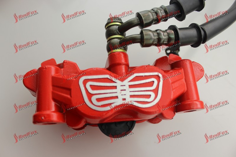 Front Disc Brake ASSY