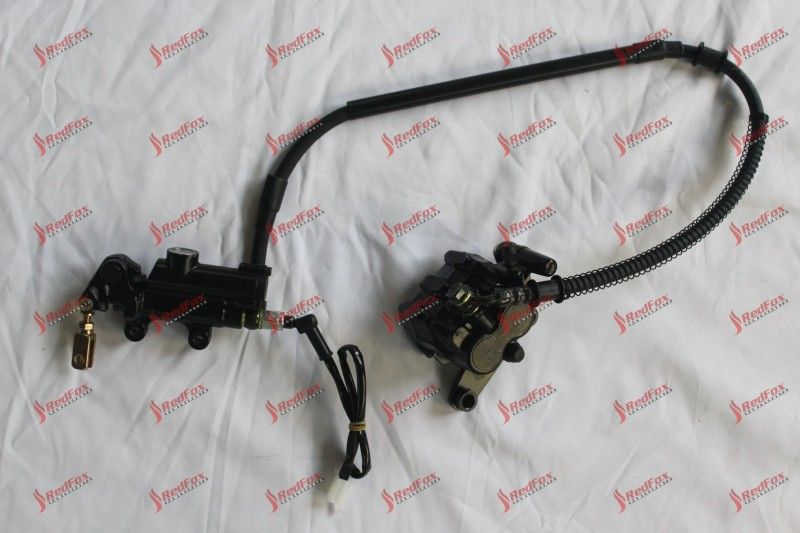 Rear Disc Brake ASSY