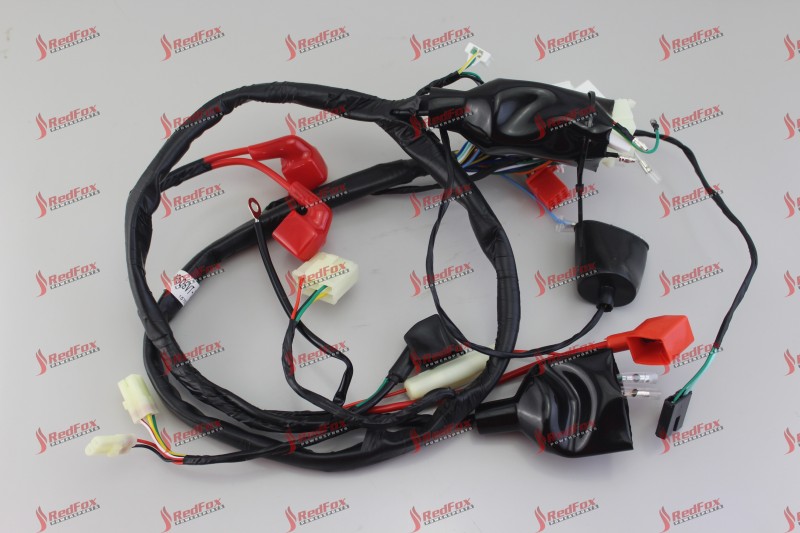 Main Cable