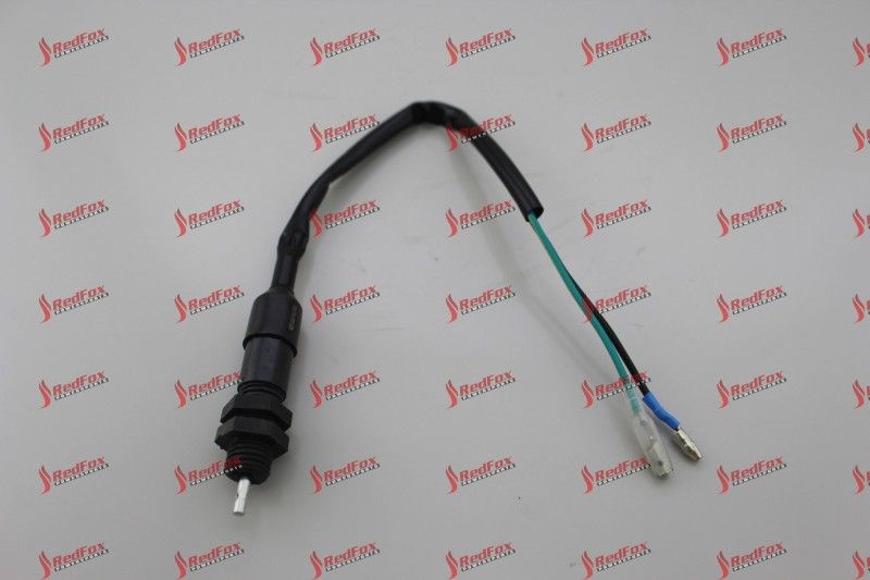 Rear Brake Switch