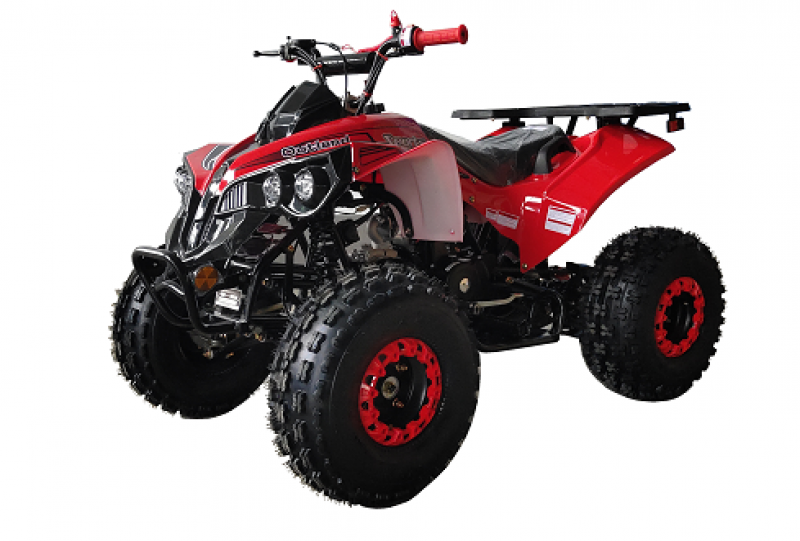 125cc Gas ATV for Kids and Adult, Automatic/w Reverse, Big 18/19inch Tire, Sports Utility Style Body, available in 2 tone color
