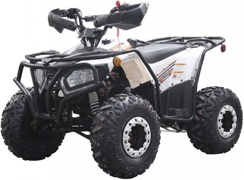 200cc ATV Rhino 200, Kids/Youth/Adult Size,19" Tire, Auto w/Reverse, Full Body Roll Cage, Foot Brake