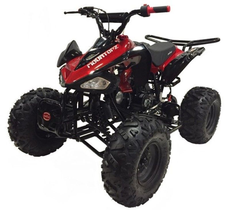 125cc Gas ATV Sport Style, Automatic/w Reverse, Big 18/19inch Tire