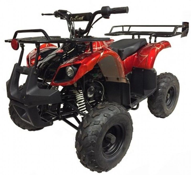 125cc Gas ATV Kids with Utility style rack, Automatic/w Reverse, 16inch Tire, Remote shut off switch