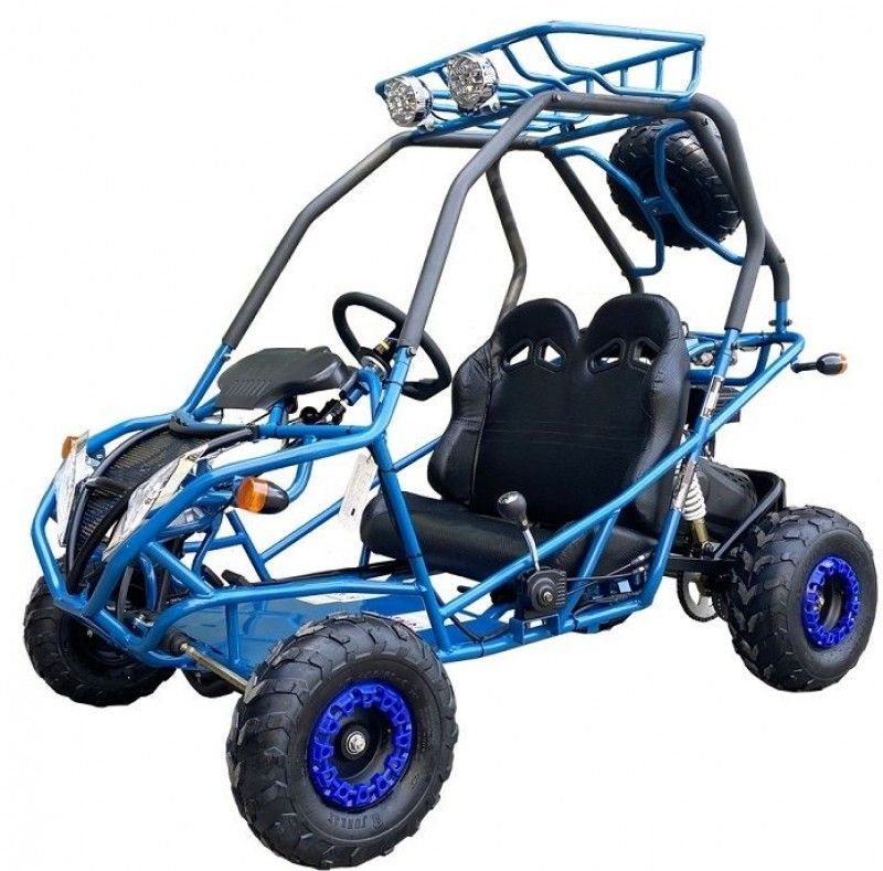 200cc GVA-21 Go Kart, Auto with reverse, High Power Engine, Rear Independent Suspension, Remote Control Shutoff, Spare Wheel 