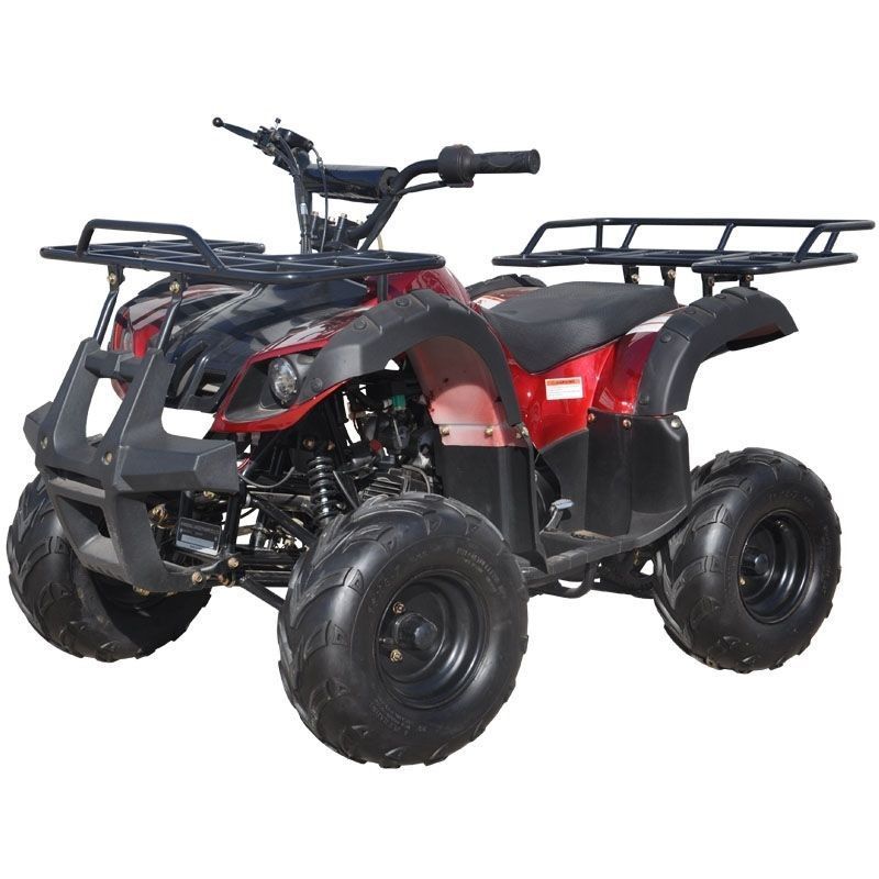 125cc Gas ATV Kids with Utility style rack, Automatic/w Reverse, 16inch Tire, Remote shut off switch