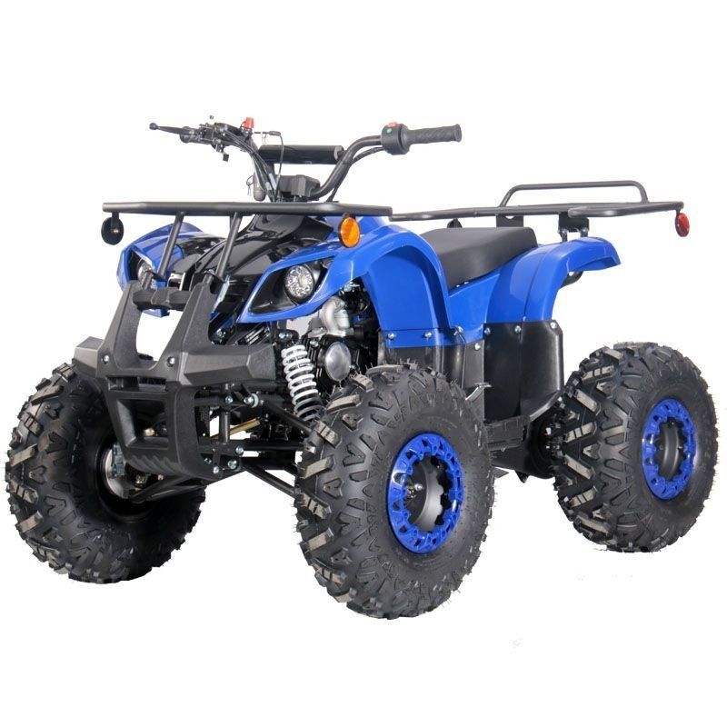 125cc Kids ATV RFP-Grizzly, Kids/Youth Size,19" Tire, Auto w/Reverse, Foot Brake