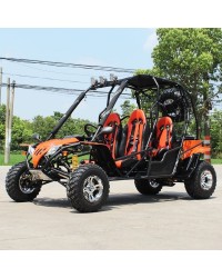 200cc Adult Gas Go-Kart 4 Seater DF GHA With Auto Tranny/Reverse Gear
