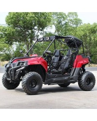 200cc DF GKV-N Full Adult Gas UTV Go-Kart side by side with Auto tranny w/ reverse