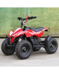 50cc Kids ATV Mini X-Sports High Power Two-Stroke Engine, Hand Strap Kill