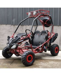 125cc Kids Go Kart Type-GTS, Automatic w/ Reverse, Spare Wheel 