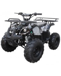125cc Gas ATV Kids with Utility style rack, Automatic/w Reverse, 16inch Tire, Remote shut off switch