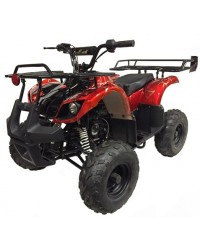 125cc Gas ATV Kids with Utility style rack, Automatic/w Reverse, 16inch Tire, Remote shut off switch