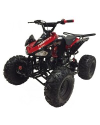 125cc Gas ATV Sport Style, Automatic/w Reverse, Big 18/19inch Tire