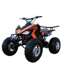 200cc ATV Big Raptor Clone, 21/22 inch Tire, Aluminum Wheels, Auto/w Reverse