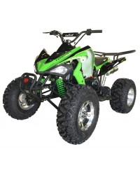 200cc ATV Big Raptor Clone, 21/22 inch Tire, Aluminum Wheels, Auto/w Reverse