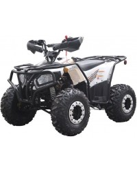 200cc ATV Rhino 200, Kids/Youth/Adult Size,19" Tire, Auto w/Reverse, Full Body Roll Cage, Foot Brake