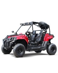 200cc DF GKV-N Full Adult Gas UTV Go-Kart side by side with Auto tranny w/ reverse