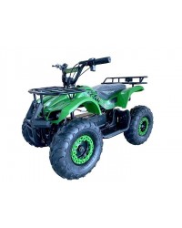 Kids ATV Electric 500W, Powerful Electric Motor, Grizzly Clone with Big Size 16 inch Tire, with Reverse, Alarm, Remote Kill Switch