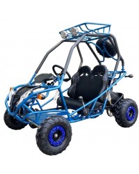 200cc GVA-21 Go Kart, Auto with reverse, High Power Engine, Rear Independent Suspension, Remote Control Shutoff, Spare Wheel 