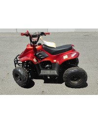 110cc Gas ATV Kids with 6inch wheel, electric start, remote shut off switch (Brand New, Ready to Ride Package)