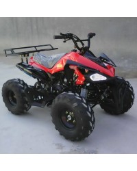 125cc Gas ATV Sport Style, Automatic/w Reverse, Big 18/19inch Tire