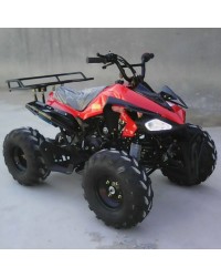 125cc Gas ATV Sport Style, Automatic/w Reverse, Big 18/19inch Tire (Ready to Ride Package)