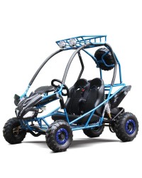 200cc Kids Go Kart Type-GVS, Automatic, Spare Wheel, remote control shutoff