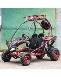 200cc Kids Go Kart Type-GVS, Automatic, Spare Wheel, remote control shutoff