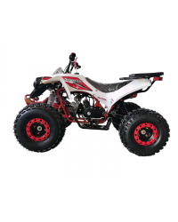 125cc Gas ATV for Kids and Adult, Automatic/w Reverse, Big 18/19inch Tire, Sports Utility Style Body, available in  2 tone color