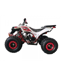 125cc Gas ATV for Kids and Adult, Automatic/w Reverse, Big 18/19inch Tire, Sports Utility Style Body, available in 2 tone color