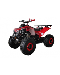 125cc Gas ATV for Kids and Adult, Automatic/w Reverse, Big 18/19inch Tire, Sports Utility Style Body, available in  2 tone color