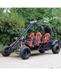 200cc Adult Gas Go-Kart 4 Seater DF GHD with Auto Tranny/Reverse Gear