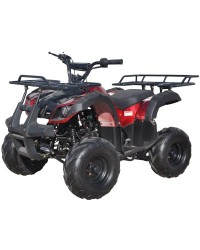 125cc Gas ATV Kids with Utility style rack, Automatic/w Reverse, 16inch Tire, Remote shut off switch