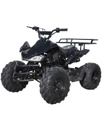 125cc Gas ATV Sport Style, Automatic/w Reverse, Big 18/19inch Tire